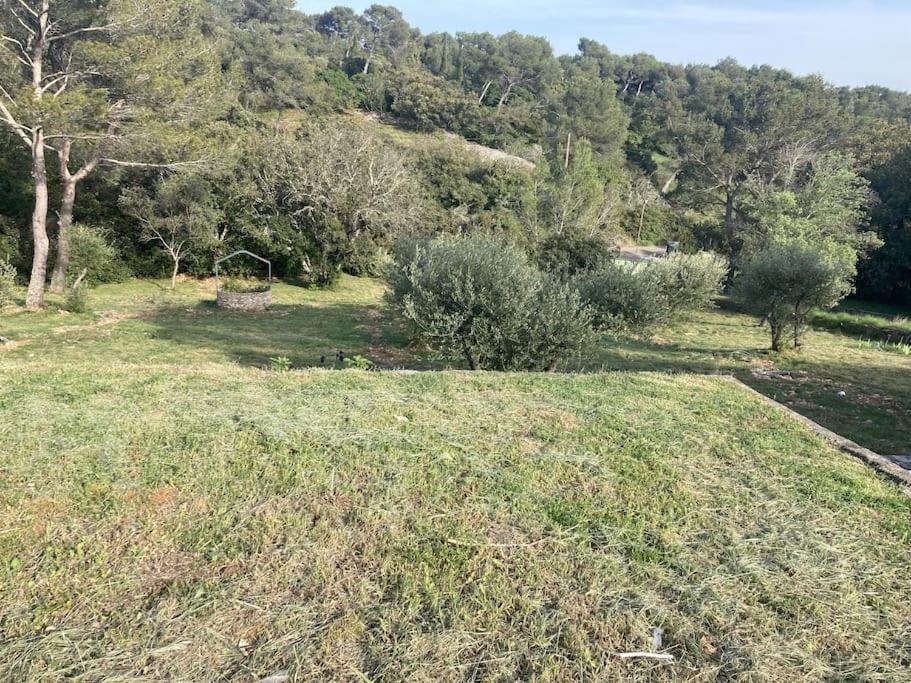Magnifique Villa De Luxe Au Coeur De La Garrigue Nîmes Buitenkant foto